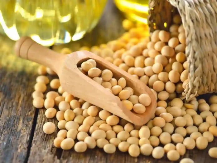 ¿Cómo Afecta la Soya a los Hombres? Desmontando Mitos sobre la Testosterona