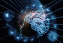 Cómo Aumentar la Capacidad Cerebral al 100: La Guía Definitiva para tu Cerebro