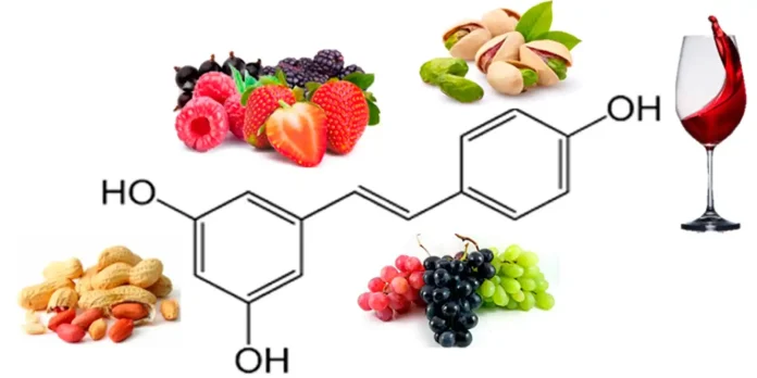 ¿Cómo Puedo Consumir Polifenoles Naturales? La Guía para Llenar tu Plato de Antioxidantes