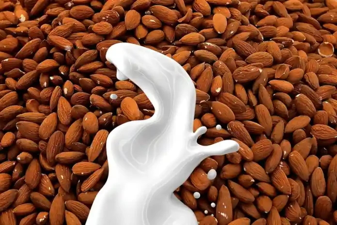 Cómo Hacer mi Propia Leche de Almendras: La Guía Fácil, Saludable y Económica