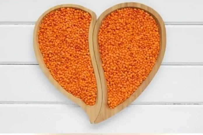 ¿Qué Reemplaza la Carne para los Veganos? La Guía de Proteínas Vegetales