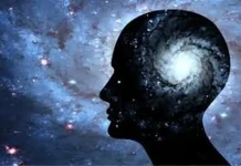 Cómo Hacer la Dieta Mental (MIND): La Guía para Evitar el Envejecimiento del Cerebro