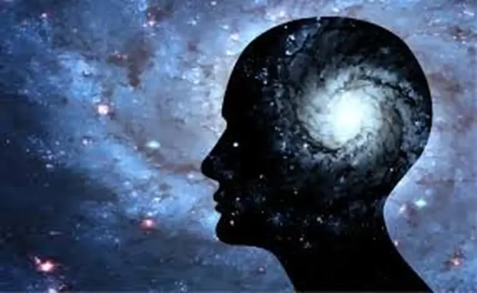 Cómo Hacer la Dieta Mental (MIND): La Guía para Evitar el Envejecimiento del Cerebro