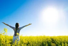 La Vitamina D: Para Qué es Buena, Dosis y Diferencia con la D3 ☀️