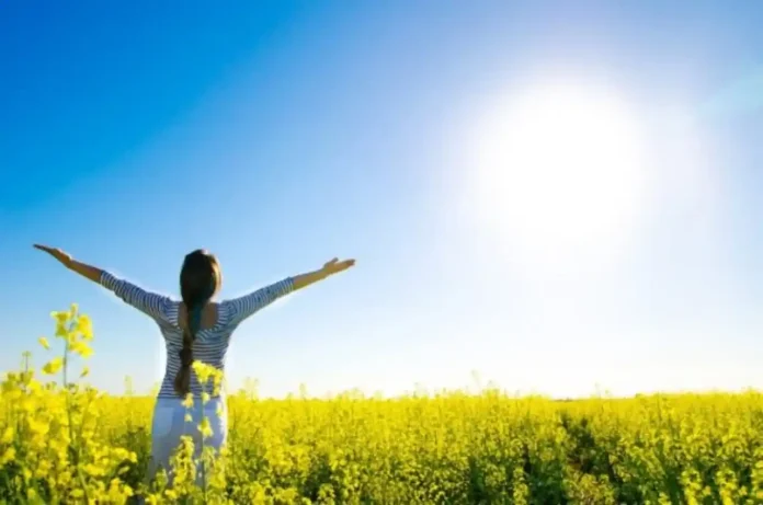 La Vitamina D: Para Qué es Buena, Dosis y Diferencia con la D3 ☀️