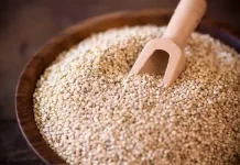¿Qué Comer si me Siento Cansado? 7 Alimentos para Revitalizar tu Energía ¿Qué Comer si me Siento Cansado? 7 Alimentos para Revitalizar tu Energía