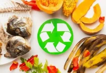 ¿Qué se Puede Hacer con los Desperdicios de Comida? 10 Ideas Geniales para tu Cocina y el Planeta