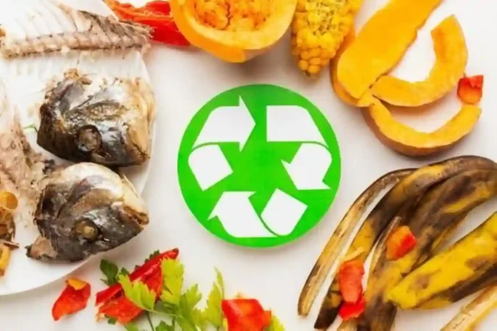 ¿Qué se Puede Hacer con los Desperdicios de Comida? 10 Ideas Geniales para tu Cocina y el Planeta