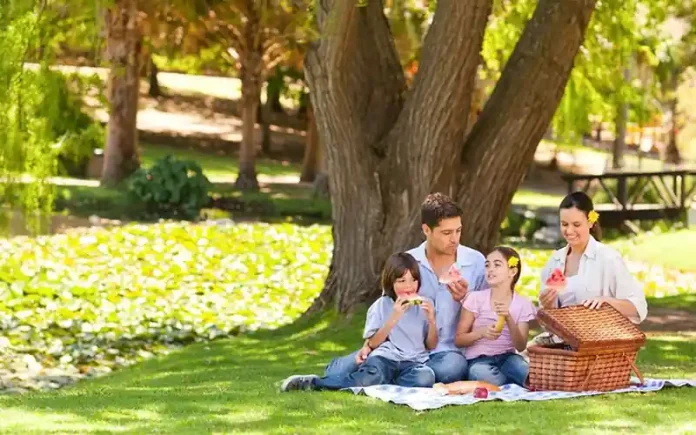 ¿Qué Hacer Cuando te Aburres en Familia? 20 Actividades Divertidas (con y sin Internet)