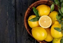¿Qué Órgano Limpia el Limón? 🍋 La Verdad Científica
