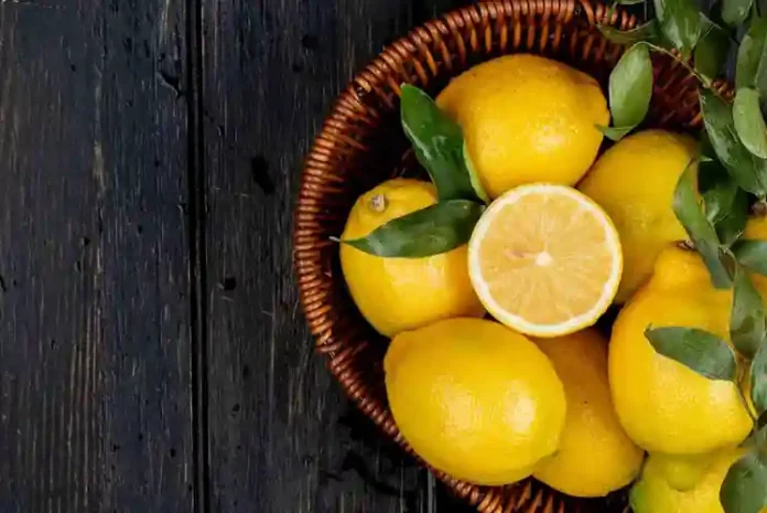 ¿Qué Órgano Limpia el Limón? 🍋 La Verdad Científica