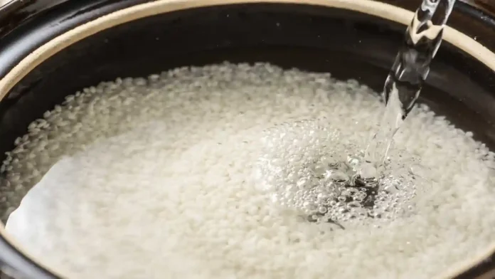 Cómo Cocinar el Arroz para Eliminar el Arsénico 🍚 Guía Científica