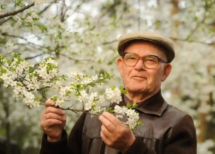 ¿Qué Comen las Personas Más Longevas del Mundo? Los Secretos de la Dieta de la Zona Azul