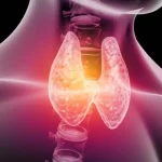 ¿Cuál es la Importancia que Tiene el Yodo? El Mineral Clave para tu Tiroides y Cerebro