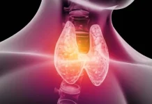 ¿Cuál es la Importancia que Tiene el Yodo? El Mineral Clave para tu Tiroides y Cerebro