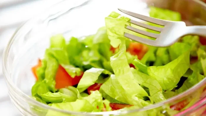 ¿Cuál es la Mejor Lechuga para Ensaladas? La Guía Definitiva de Sabor, Textura y Nutrición