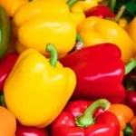 Chile Rojo, Verde y Amarillo: ¿Cuál es el Más Saludable y Cuál Debes Elegir?