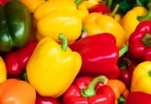 Chile Rojo, Verde y Amarillo: ¿Cuál es el Más Saludable y Cuál Debes Elegir? Chile Rojo, Verde y Amarillo: ¿Cuál es el Más Saludable y Cuál Debes Elegir?