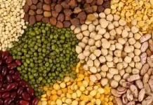 ¿Cuáles son los Alimentos Ricos en Butirato? La Guía Definitiva para tu Salud Intestinal